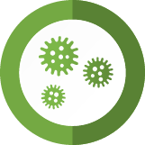 Key Black Mold Removal