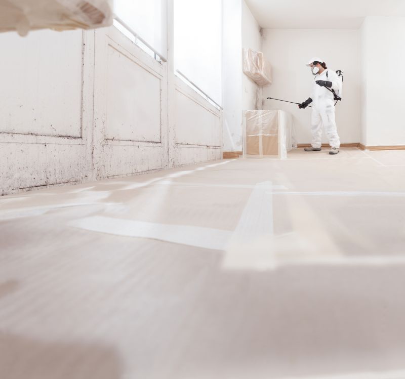 Mold Abatement Service in Bergen County, NJ