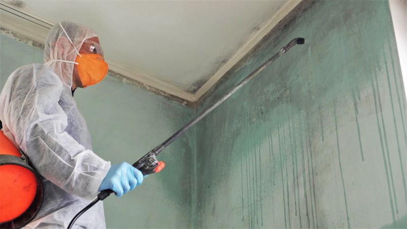 Mold Mitigation Service in Dallas, TX
