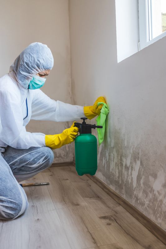 Mold Remediation Service in Fort Worth, TX