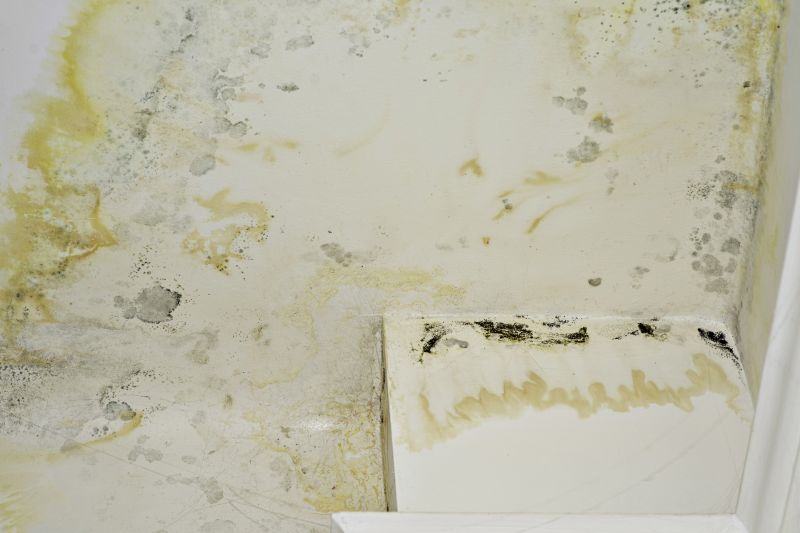 Air Duct Mold Removal in Jupiter, FL