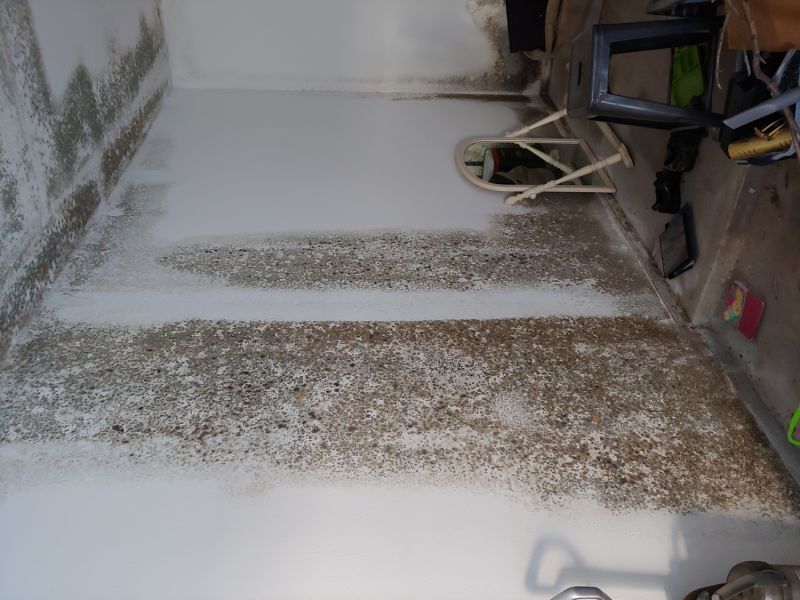 Apartment Mold Testing