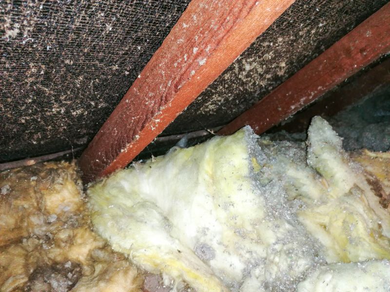 Asbestos Abatement in Monmouth County, NJ