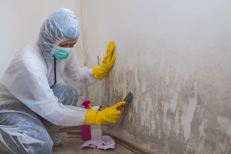 Basement Mold Removal in West Palm Beach, FL