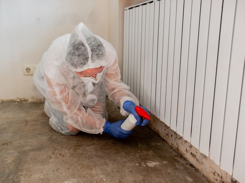 Crawl Space Mold Removal in Boca Raton, FL