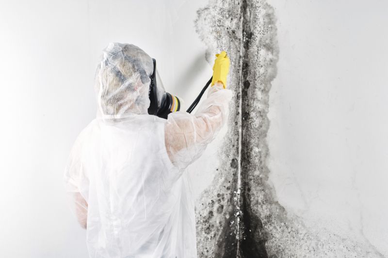 Black Mold Removal detail