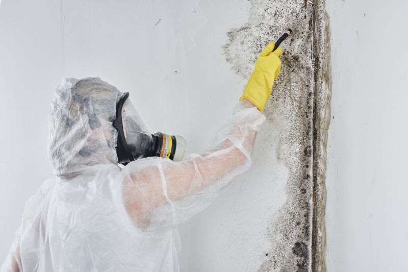 Black Mold Removal detail