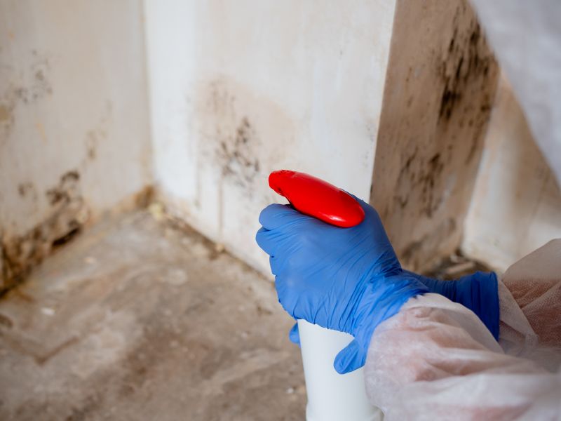 Garage Mold Remediation in West Palm Beach, FL