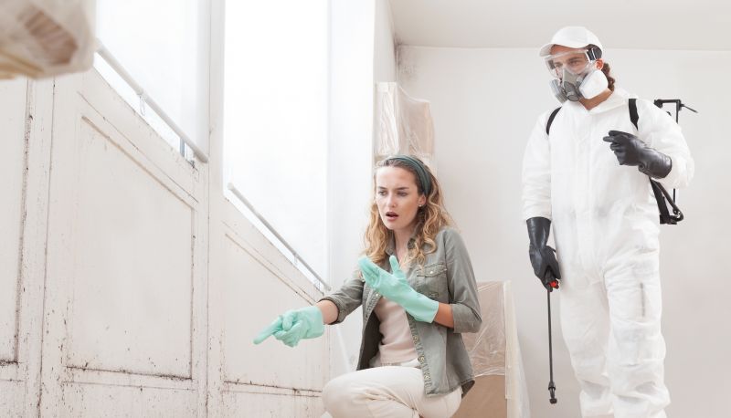 Garage Mold Remediation in Boca Raton, FL