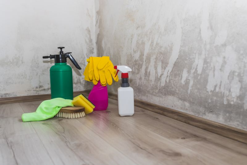 Garage Mold Remediation in Jupiter, FL