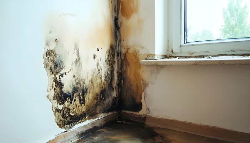 Garage Mold Remediation in Jupiter, FL