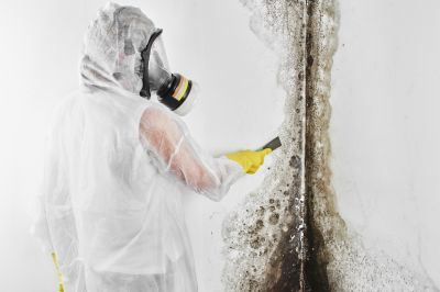 Mold Removal in Essex County, NJ