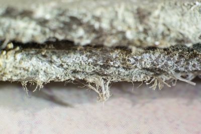 Vermiculite Removal Service in Essex County, NJ