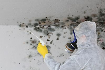 Get Professional Mold Removal To Ensure Complete and Effective Removal!